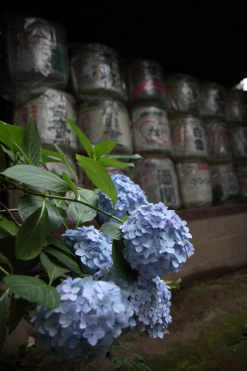b0006537_16293455.jpg
