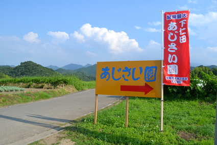 e0228938_19112755.jpg