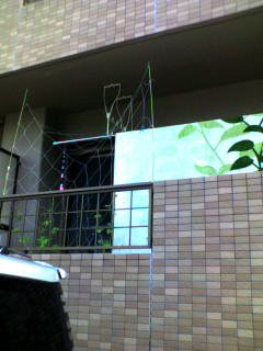 a0023043_938869.jpg