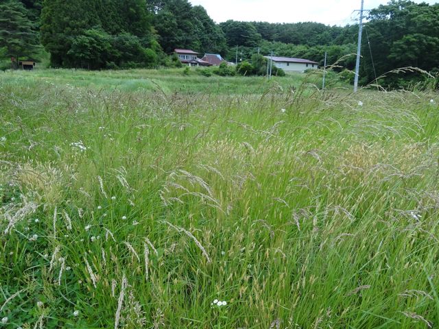 f0030644_19454721.jpg