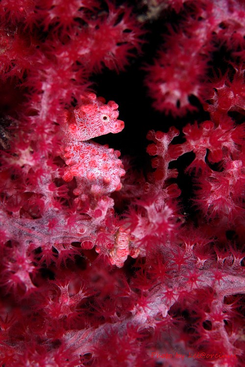 d0181647_15423428.jpg