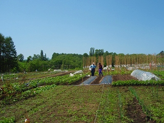 e0004756_9295742.jpg