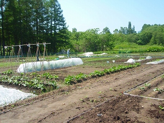 e0004756_9454930.jpg