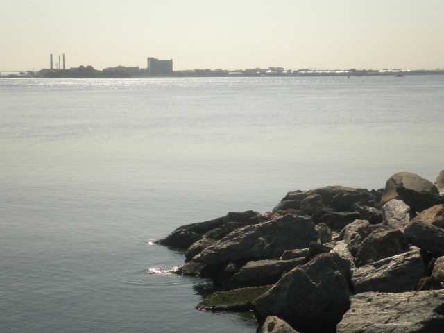 d0181461_6135377.jpg