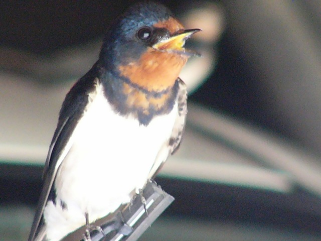 b0218664_924137.jpg