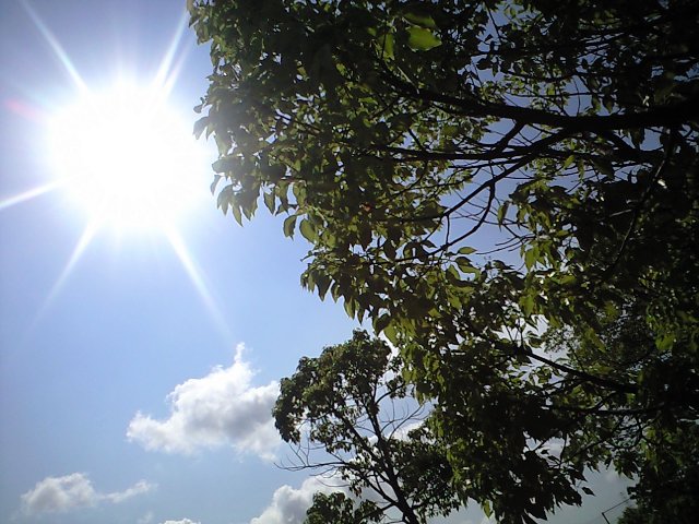 c0194767_0133499.jpg