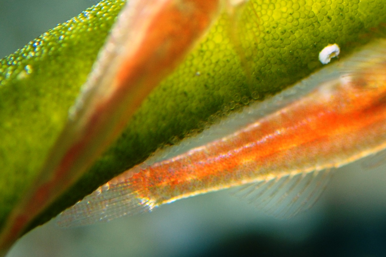 c0181073_21504345.jpg