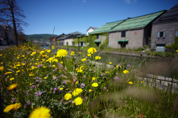 d0089281_1142176.jpg