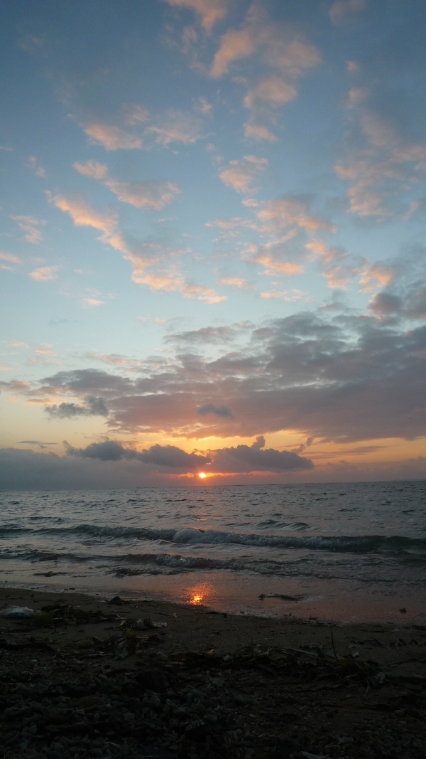 e0024081_93118.jpg