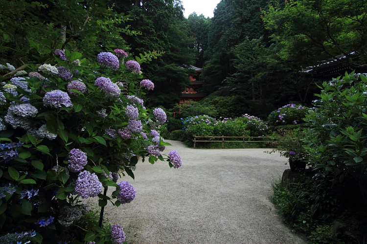 e0051888_2156376.jpg