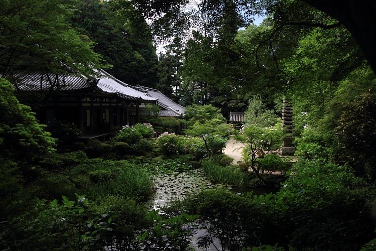 e0051888_21575076.jpg