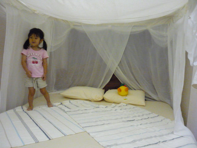 f0230888_2340062.jpg