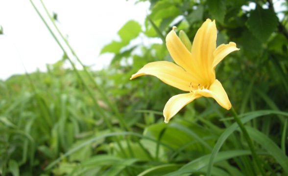 f0125091_10295264.jpg