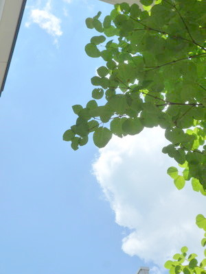 a0133493_12491453.jpg