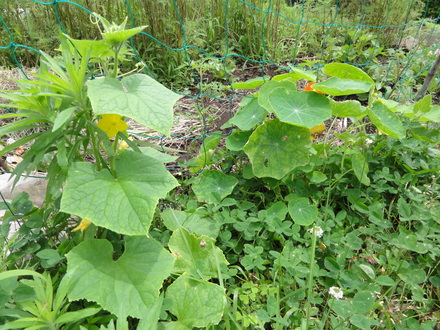 f0209394_034280.jpg