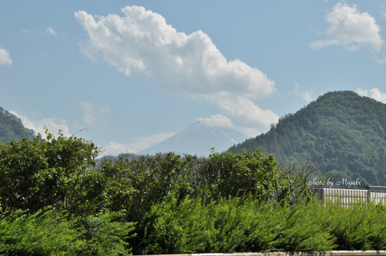a0161698_2142031.jpg