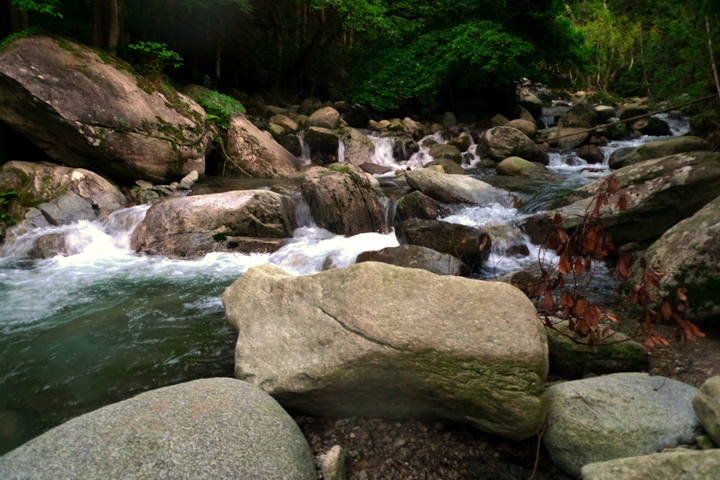 a0097006_21124645.jpg