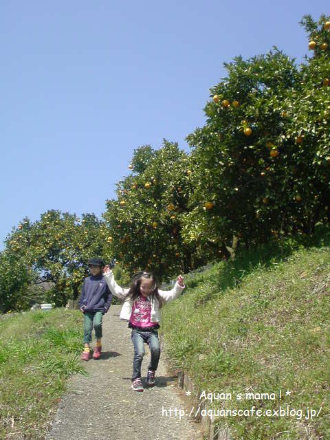 c0122007_823241.jpg