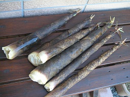 f0008510_20164130.jpg