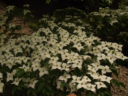 c0223117_22125028.jpg
