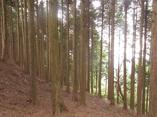 c0223117_2212954.jpg