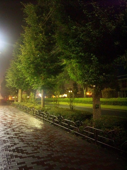 b0199924_1540155.jpg
