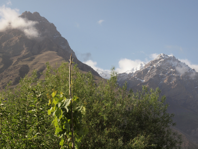 c0157625_211392.jpg