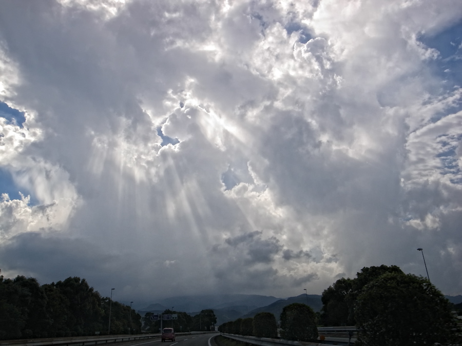 a0113732_7462749.jpg