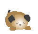 a0206332_85355.gif