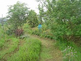 f0167635_5132775.jpg