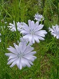 f0167635_5184096.jpg