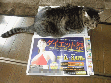 c0136736_1727079.gif