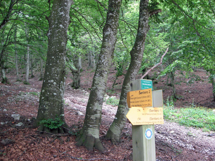 f0234936_151481.jpg