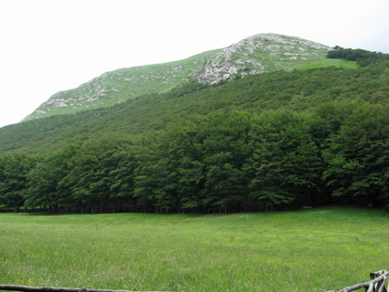 f0234936_155071.jpg