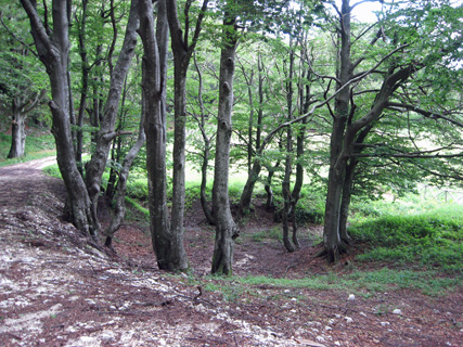 f0234936_16156.jpg
