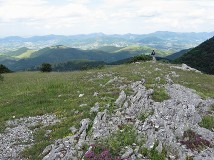 f0234936_181896.jpg