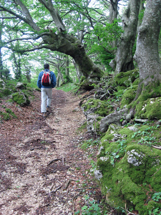 f0234936_184132.jpg