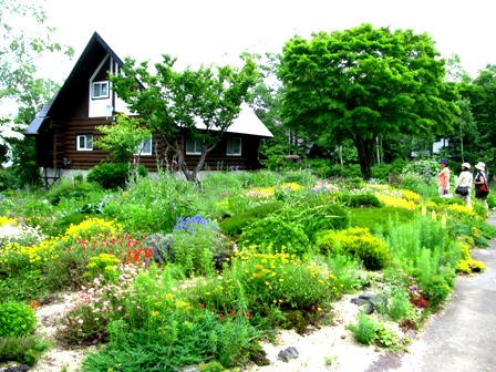 c0204740_20482059.jpg