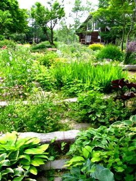 c0204740_2049551.jpg