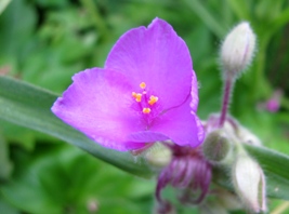 c0204740_218672.jpg