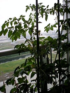 e0067640_145312100.jpg