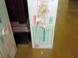 c0033145_10173478.jpg
