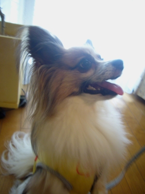e0100046_2213778.jpg