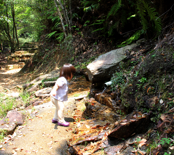 d0163550_2116365.gif