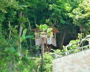 f0034156_1573210.jpg