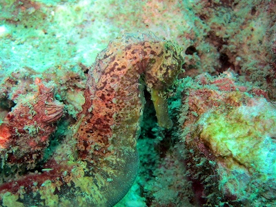 f0176156_151553.jpg