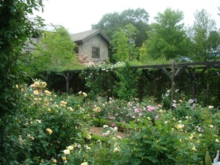 f0198556_16264041.jpg