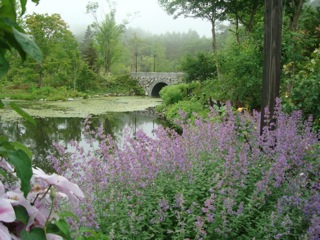 f0198556_1627258.jpg