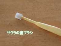 d0054461_2001991.jpg
