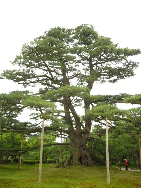e0158363_11441458.jpg